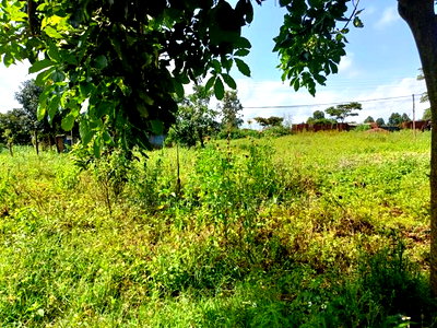 Prime Plot for Sale in Gikambura - Image 3