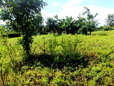 Prime Plot for Sale in Gikambura - Image 2