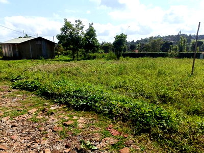 Prime Plot for Sale in Gikambura - Image 4
