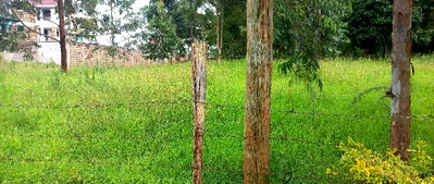 Quarter Acre Garden Plot with Parking - Kerarapon