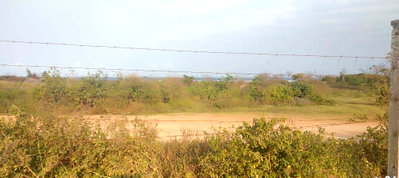 2.5-Acre Beachside Plot at KSh 30M
