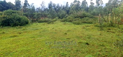 Plots for Sale in Segero Rivertex Road in Eldore - Image 9