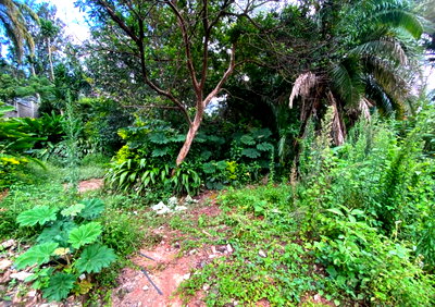 0.6 Acre Plot for KSh 100M