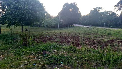 1 Acre Prime Residential Plot, Tigoni - Image 9