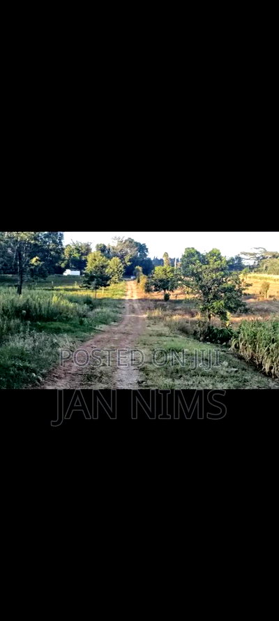 1 Acre Prime Residential Plot, Tigoni - Image 5