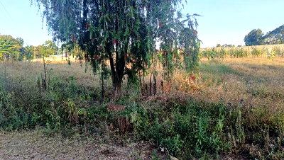 1 Acre Prime Residential Plot, Tigoni - Image 8