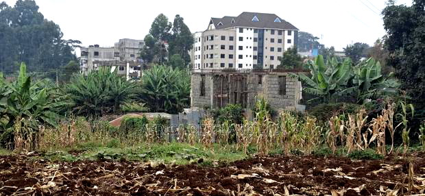 62x100 Available Plot for Sale in Gitaru