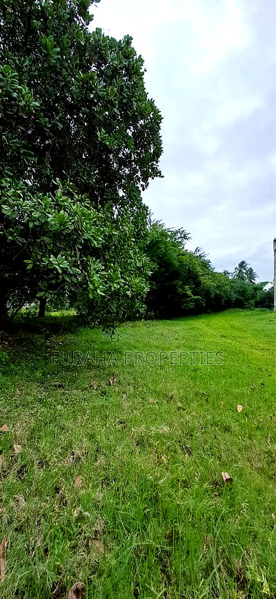 For Sale Factory on 5 Acres Kikambala - Image 6