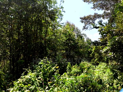 2.3 Acres of Land on Sale in Ngong Kahara. Has Trees Touches Main Road - Image 1