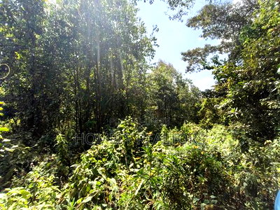 2.3 Acres of Land on Sale in Ngong Kahara. Has Trees Touches Main Road - Image 2