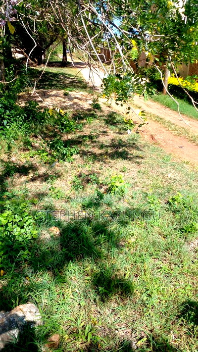 1/4 Acre Plot on 3rd Row, in Galu Beach. - Image 8