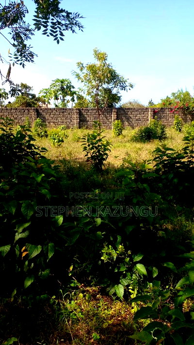 1/4 Acre Plot on 3rd Row, in Galu Beach. - Image 1