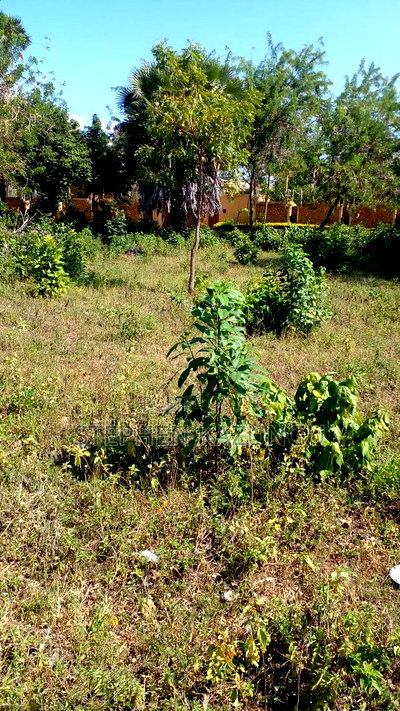 1/4 Acre Plot on 3rd Row, in Galu Beach. - Image 6