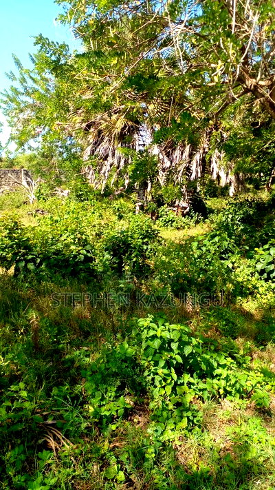 1/4 Acre Plot on 3rd Row, in Galu Beach. - Image 7