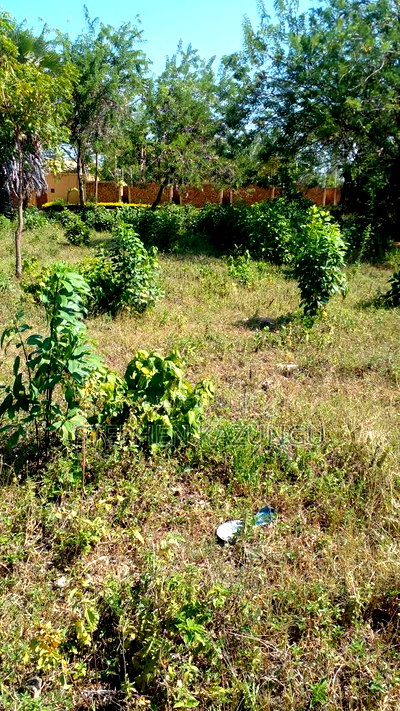 1/4 Acre Plot on 3rd Row, in Galu Beach. - Image 5