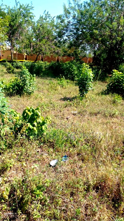 1/4 Acre Plot on 3rd Row, in Galu Beach. - Image 2