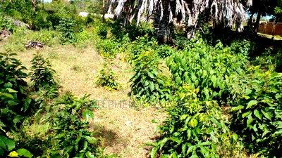 1/4 Acre Plot on 3rd Row, in Galu Beach. - Image 9