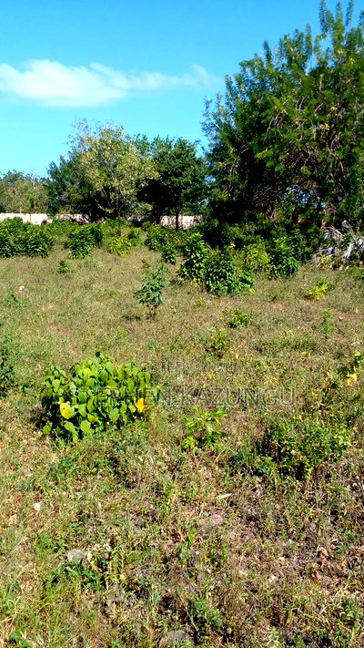 1/4 Acre Plot on 3rd Row, in Galu Beach. - Image 4