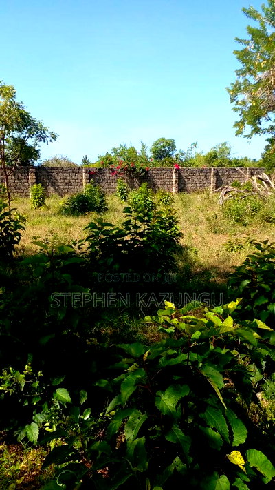 1/4 Acre Plot on 3rd Row, in Galu Beach. - Image 10