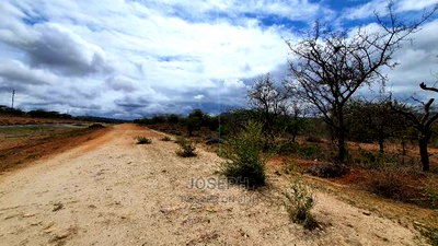 Bisil 247acres With 2.8km Namanga-Nairobi Road Frontage - Image 14