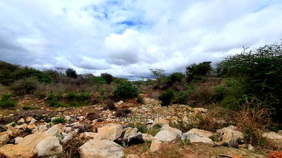 Bisil 247acres With 2.8km Namanga-Nairobi Road Frontage - Image 2