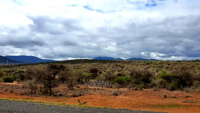 Bisil 247acres With 2.8km Namanga-Nairobi Road Frontage - Image 9