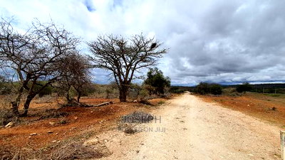 Bisil 247acres With 2.8km Namanga-Nairobi Road Frontage - Image 16
