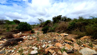 Bisil 247acres With 2.8km Namanga-Nairobi Road Frontage - Image 17