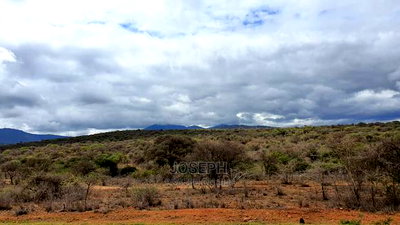 Bisil 247acres With 2.8km Namanga-Nairobi Road Frontage - Image 5