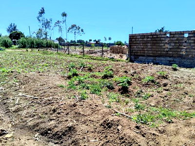 1/8acre Plot for Sale in Rehema, Outspan - Image 1