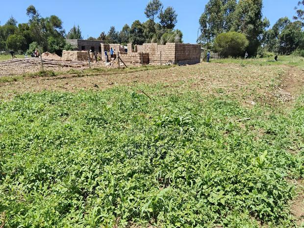 1/8acre Plot for Sale in Rehema, Outspan