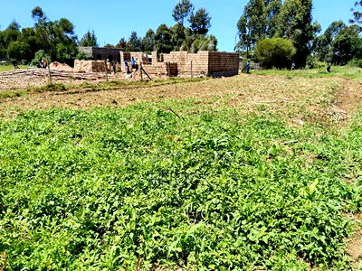 1/8acre Plot for Sale in Rehema, Outspan - Image 2