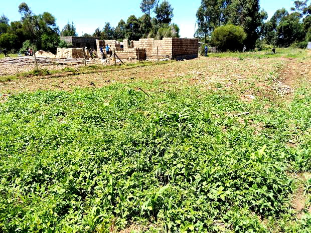 1/8acre Plot for Sale in Rehema, Outspan