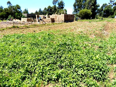 1/8acre Plot for Sale in Rehema, Outspan - Image 3