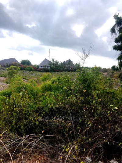 1/2 an Acre Prime Land - Image 5