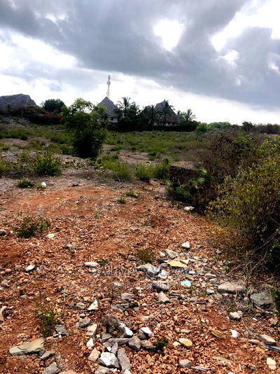 1/2 an Acre Prime Land - Image 4