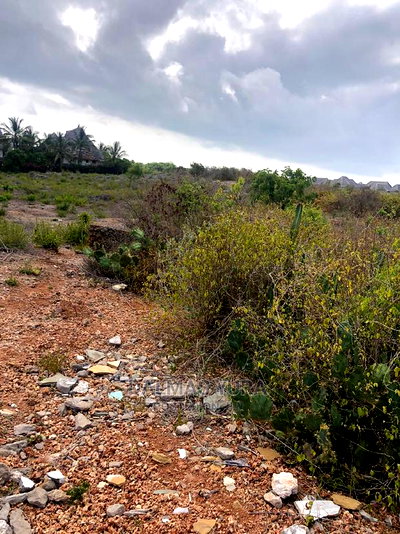 1/2 an Acre Prime Land - Image 3