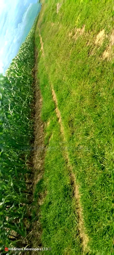 240acres in Narok With Clean Tittle Deed at 650,000 Per Acre - Image 8