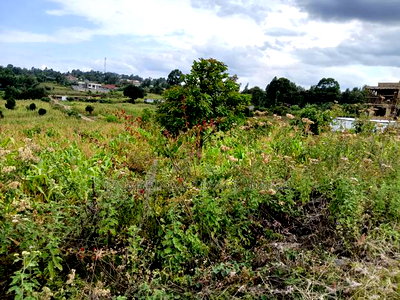 Prime Quarter Acre (100by100) for Sale in Olkeri, Forestline - Image 4