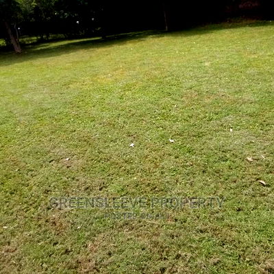 4bdrm Bungalow in Hardy for Rent - Image 15