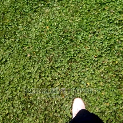 4bdrm Bungalow in Hardy for Rent - Image 16