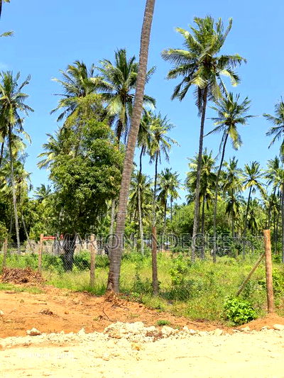 Prime 50by100ft Plots for Sale Located 1km From the Beach - Image 12