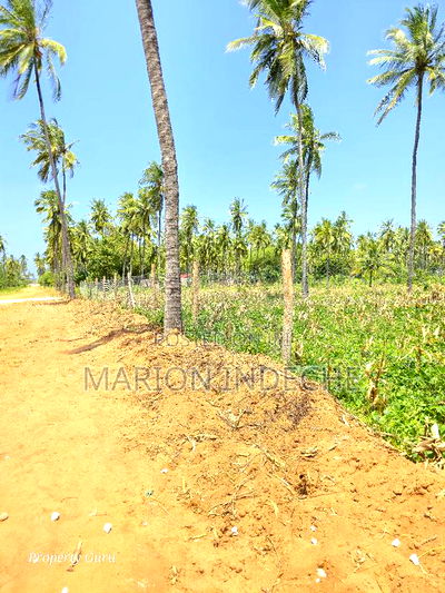 Prime 50by100ft Plots for Sale Located 1km From the Beach - Image 7