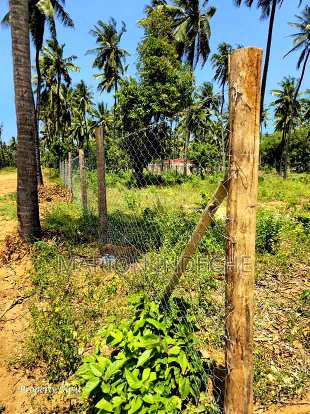 Prime 50by100ft Plots for Sale Located 1km From the Beach