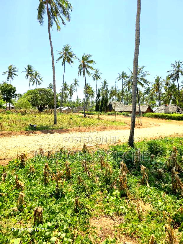 Prime 50by100ft Plots for Sale Located 1km From the Beach