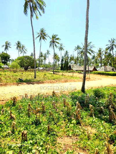 Prime 50by100ft Plots for Sale Located 1km From the Beach - Image 1