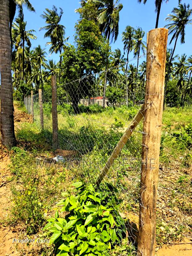 Prime 50by100ft Plots for Sale Located 1km From the Beach