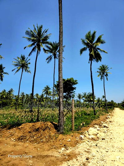 Prime 50by100ft Plots for Sale Located 1km From the Beach - Image 13