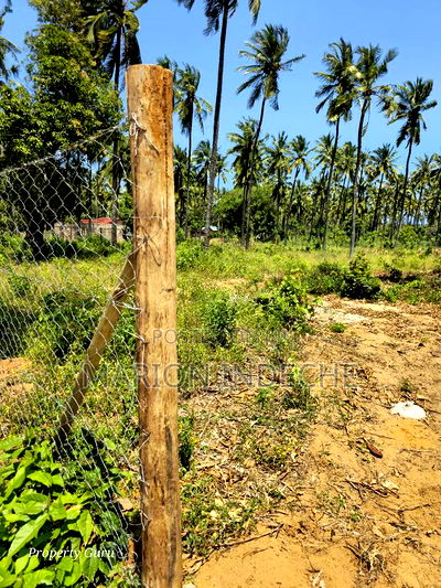 Prime 50by100ft Plots for Sale Located 1km From the Beach - Image 9