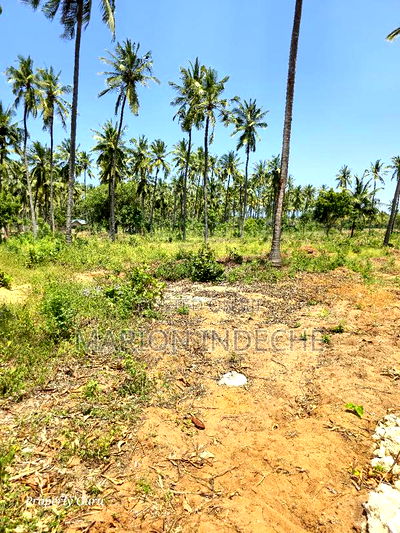Prime 50by100ft Plots for Sale Located 1km From the Beach - Image 11